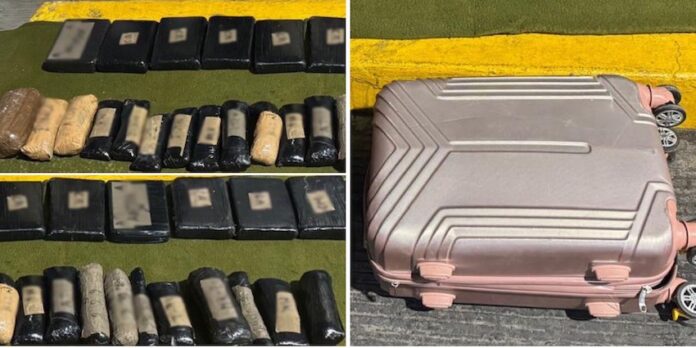 #Nogales ¡En 2 maletas llevaban 32 paquetes de cocaína!; en terminal de autobuses de Nogales son capturados dos sujetos.