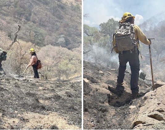 Logran liquidación total del incendio forestal en la Sierra Los Ajos