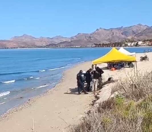 Hallan restos humanos a la orilla de la playa en San Carlos