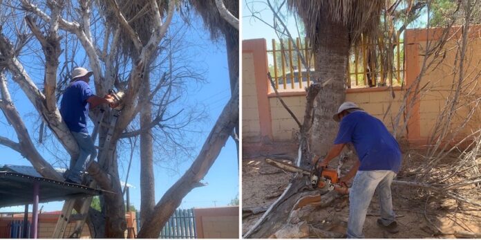 Refuerzan seguridad en escuelas con acciones de Ecología previo a nuevo ciclo escolar; en atención a las solicitudes de directivos escolares y siguiendo las instrucciones del alcalde Luis Fuentes Aguila.
