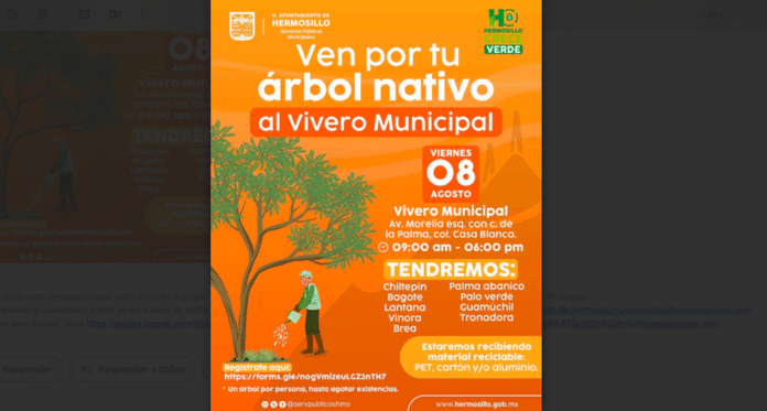 Tendrá Ayuntamiento de Hermosillo jornada de entrega de árboles nativos este viernes; este viernes 8 de agosto, en el Vivero Municipal se entregarán especies como chiltepín, bagote, lantana, vinora, brea, palma abanico, palo verde, guamúchil y tronadora.