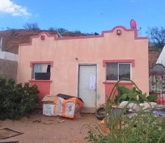 En cateo se rescatan 54 canes en Nogales