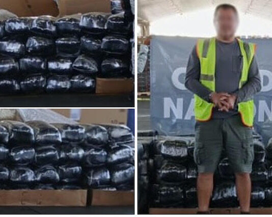 En cruce fronterizo aseguran tráiler con 237 paquetes de droga