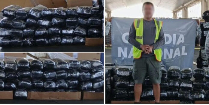 #Tijuana En cruce fronterizo aseguran tráiler con 237 paquetes de droga; el chofer de la unidad fue puesto a disposición de la FGR, en Tijuana.