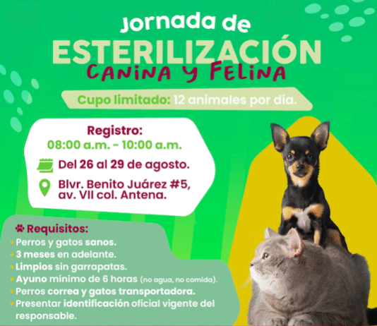 Habrá Jornada de Esterilización Canina y Felina