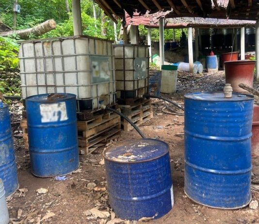 Hallan otro laboratorio en el que se producían drogas sintéticas