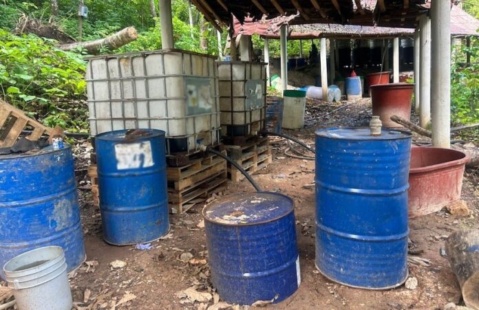 #Nacional Hallan otro laboratorio en el que se producían drogas sintéticas; se hallaba oculto entre la maleza, en el estado de Chiapas.