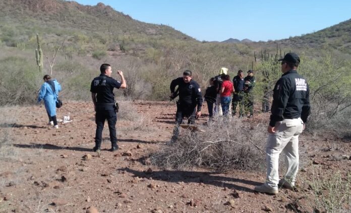 #Guaymas Hallan osamenta en un cerro, al norte de Guaymas; desde hacía como dos años, el Colectivo de Búsqueda ‘Amor, Fe y Esperanza’ había recibido un reporte, pero no habían podido llegar al lugar indicado, por lo complicado del terreno.