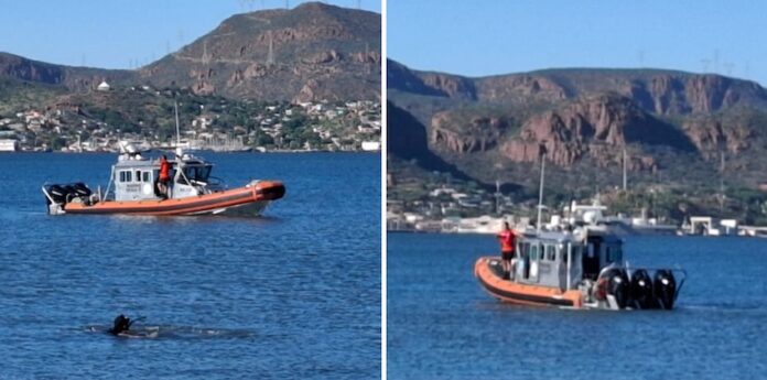 #Guaymas Identifican a buzo que murió ahogado en la bahía de Guaymas; respondía a nombre de Samuel García Ozuna, de 28 años de edad; descanse en paz, condolencias a sus familiares.