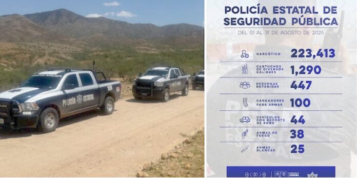 #Hermosillo Importantes logros en operativos en distintos municipios de Sonora; se informa sobre el arresto de 440 personas y el aseguramiento de 223 mil dosis.