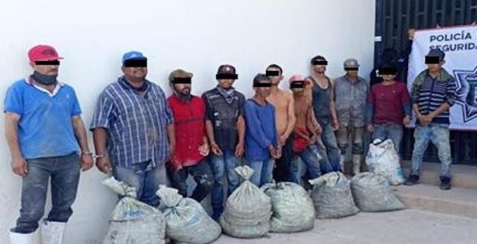 #Hermosillo Robaban camarón en una granja acuícola; once personas las detenidas, quienes hoy han sido vinculadas a proceso.