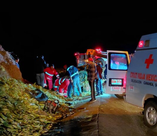 Desbarrancó tráiler en tramo Cananea-Ímuris; muere una persona