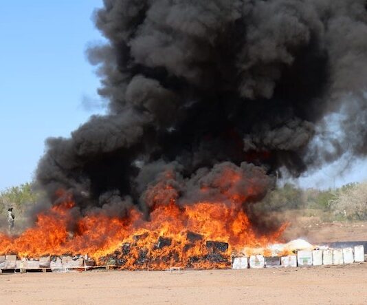 Incineran más de 2 toneladas de drogas