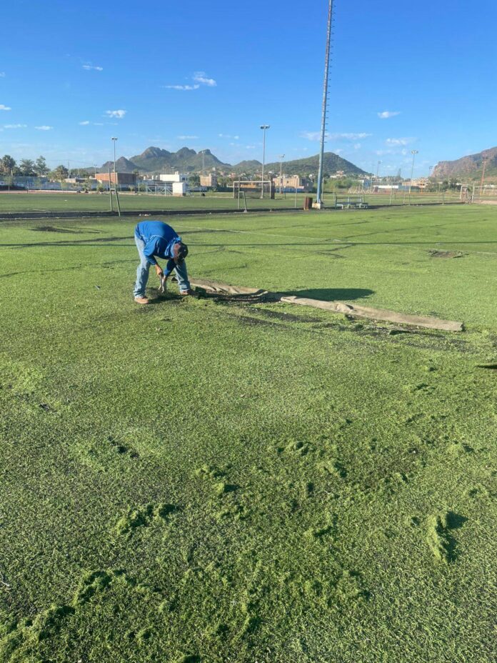 #Guaymas Ligas Unidas reúnen fondos para rehabilitar campos de fútbol; en una muestra de unión y compromiso con el deporte local, entre quienes participan en esta disciplina.