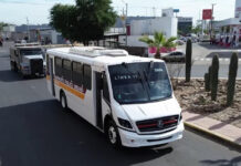 Intensificarán acciones de seguridad en el transporte urbano la noche de Halloween