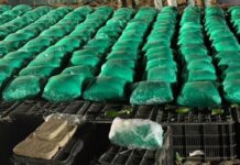Aseguran más de una tonelada de droga: Metanfetamina, fentanilo y goma de opio