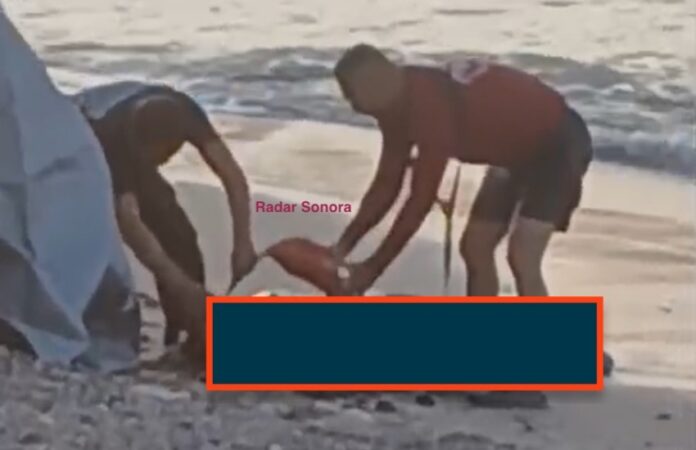 #San Carlos Identifican a joven hallado sin vida en playa de San Carlos; de 20 años, era trabajador de una constructora, estaba desaparecido desde la madrugada de ayer.