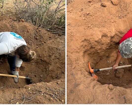 Identificados los 60 cuerpos encontrados en la carretera 26, de Hermosillo