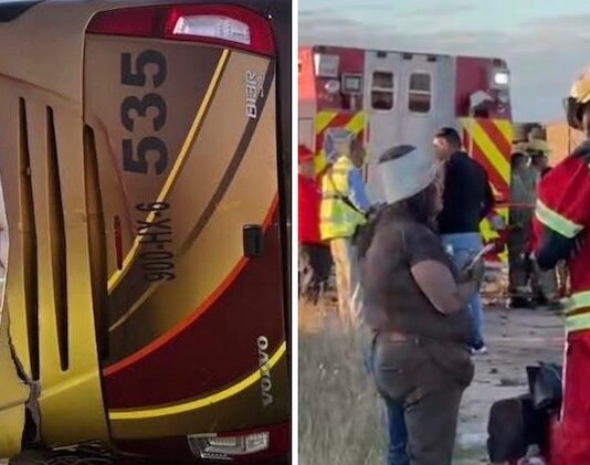 ¡Pudo haberse dormitado sobre el volante, chofer de camión!