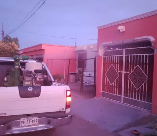 Realiza Ayuntamiento de Guaymas y Secretaría de Salud campaña intensiva de fumigación