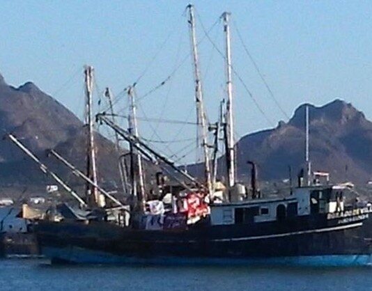 Busca Gobierno reducir presupuesto al sector pesquero en 2026