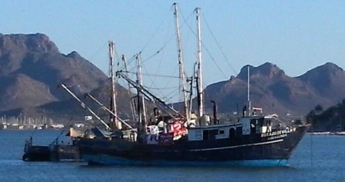 #Guaymas  Busca Gobierno reducir presupuesto al sector pesquero en 2026; sería de poco más de un 20% en los rubros social y científico.