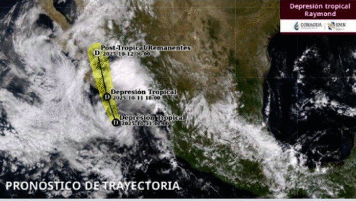 #Nacional En las próximas horas, Raymond originará lluvias intensas BCS, Chihuahua y Sonora; presenta vientos máximos sostenidos de 55 km/h, rachas de 75 km/h y desplazamiento hacia el nor-noroeste a 20 km/h.