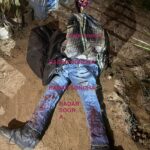 aacd1b23-8f06-4aca-b969-3f10db5a225a