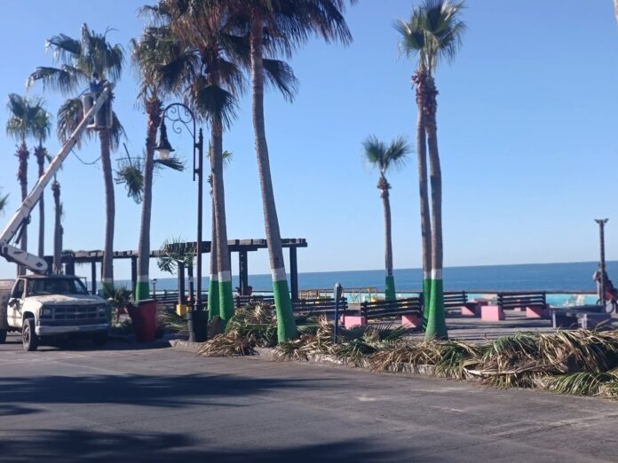 #Puerto Peñasco Refuerzan acciones de rehabilitación y limpieza en calles de terracería; con el objetivo de mejorar la movilidad y las condiciones de las vialidades en distintos sectores de la ciudad.