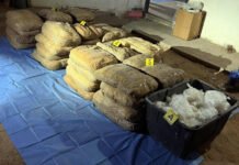 Aseguran cerca de media tonelada de metanfetamina en Sonora