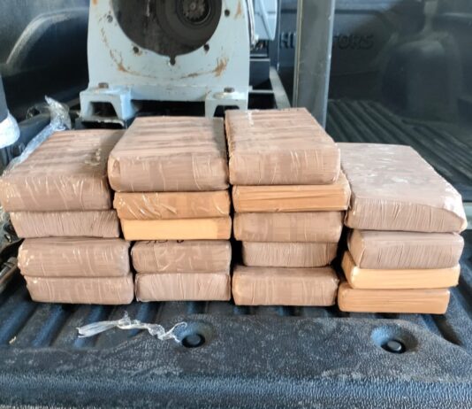 Incautan 20 kilos de cocaína en empresa de paquetería