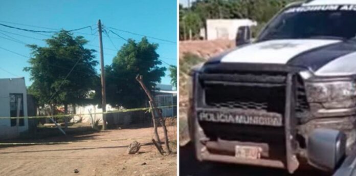 #Huatabampo Mujer asesinada por su pareja sentimental en Huatabampo; el responsable, un sujeto de 64 años de edad, ya fue detenido.