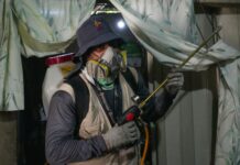 Gobierno de Sonora informa que no se han confirmado defunciones por dengue