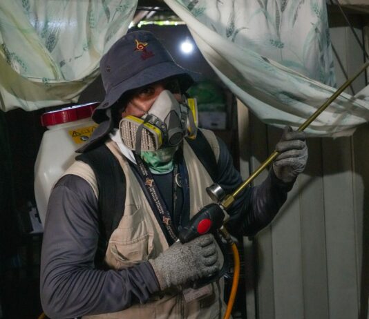 Gobierno de Sonora informa que no se han confirmado defunciones por dengue