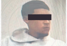 Se mete a casa a robar, dañando cámaras de videovigilancia, forzando puertas y ventanas