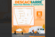 Este jueves realizará Gobierno de Hermosillo jornada de descacharre en la colonia Café Combate