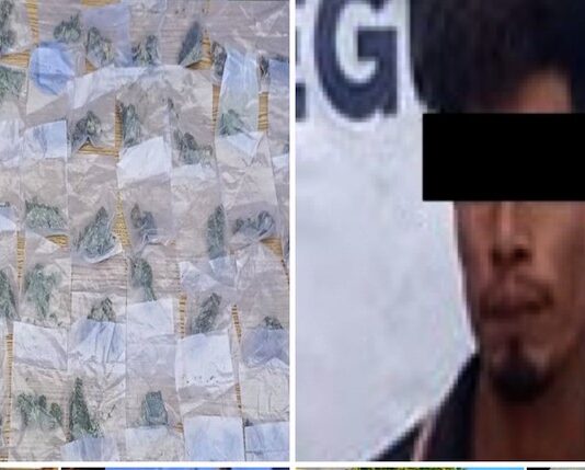 Incautan 80 dosis de droga en Etchojoa