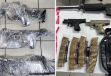 Un total de 29 sentencias dictadas por delitos federales en Noviembre