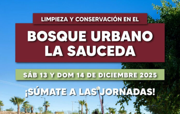 #Hermosillo Bosque Urbano La Sauceda ofrece un fin de semana lleno de actividades culturales, talleres y convivencia familiar; espectáculos para todos, reforzando su compromiso de brindar espacios accesibles, seguros y enriquecedores para la ciudadanía.