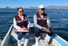 Realizan muestreo de agua por marea roja en Guaymas