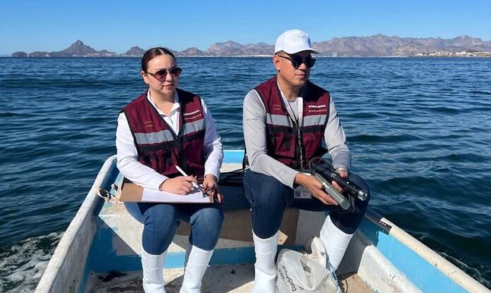 #Guaymas Realizan muestreo de agua por marea roja en Guaymas; tras detectarse la presencia de un fenómeno.