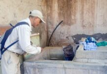 Intensifica Salud Sonora acciones contra dengue en Etchojoa, Guaymas y Empalme