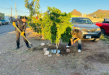 Colaboran familias de Guaymas en la generación de entornos seguros