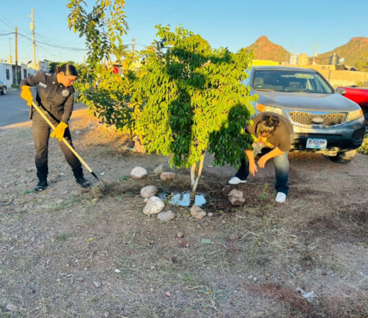 Colaboran familias de Guaymas en la generación de entornos seguros