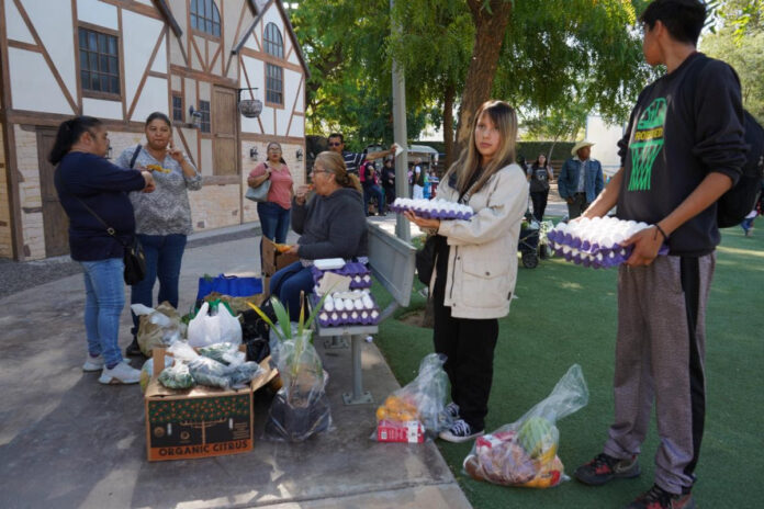 #Hermosillo Impulsa la economía familiar el Bazar Navideño de DIF Sonora; se ofrecerán matrimonios gratuitos en el área del kiosco del Parque Infantil.