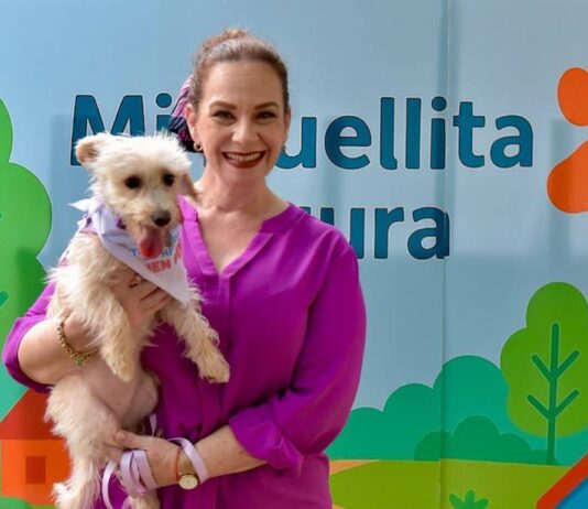 Más de 5 mil animales de compañía ya forman parte del RUAC gracias al programa municipal “Huellita Segura”