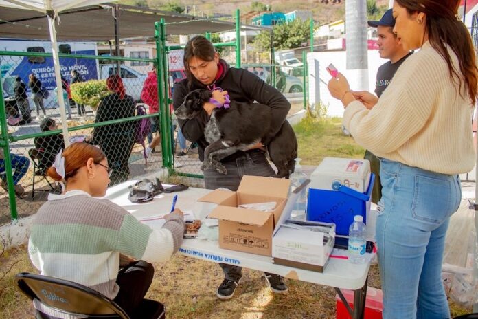 #Guaymas Mantiene Ayuntamiento de Guaymas acciones de salud para las familias; para fortalecer la salud pública y avanzar hacia una ciudad más limpia.