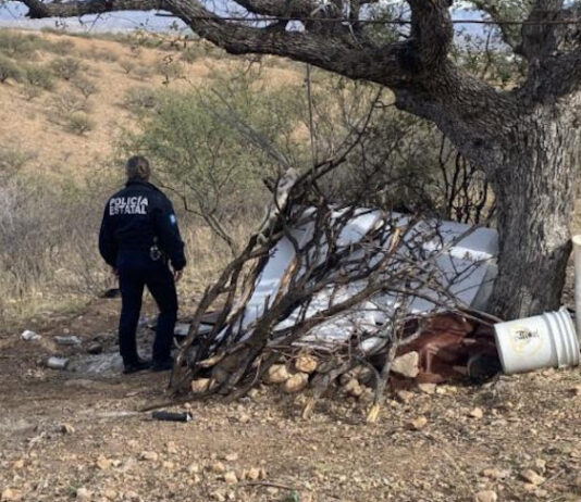 Incautan más de 700 dosis de narcótico en operativo en Nogales