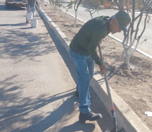 Trabajan en mantenimiento de bulevar Héroe de Nacozari y Ángel de la Independencia