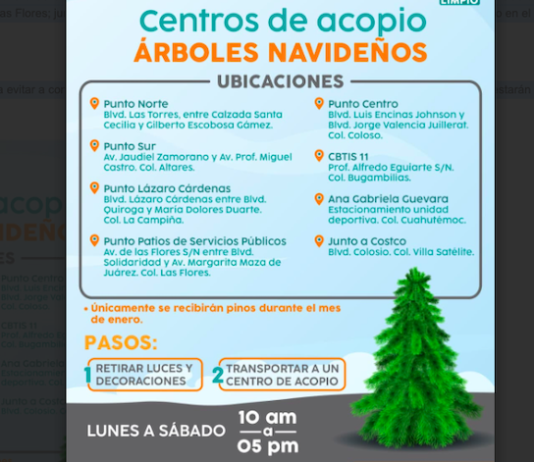 Invita Ayuntamiento de Hermosillo a depositar árboles navideños en centros de acopio